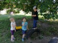 /album/na-zahrade/img-20200622-105916-jpg/